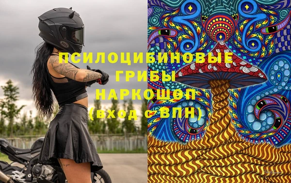 прущая мука Алзамай