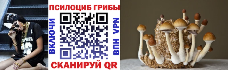 хочу   Катав-Ивановск  даркнет какой сайт  Галлюциногенные грибы Psilocybine cubensis 